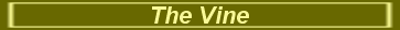 The Vine