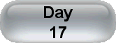 Day 17