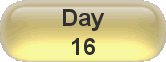Day 16
