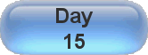 Day 15
