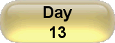 Day 13