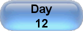Day 12