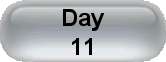 Day 11