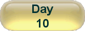 Day 10