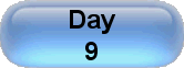 Day 9