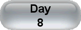 Day 8