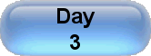 Day 3