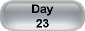 Day 23