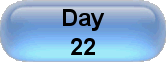 Day 22