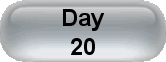 Day 20